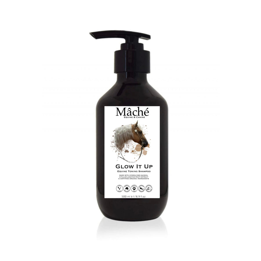 GLOW IT UP Equine Shampoo